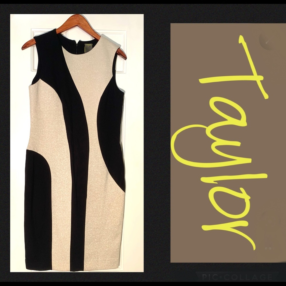 Taylor Champagne / Gold Black Sleeveless Sheath Mod Dress